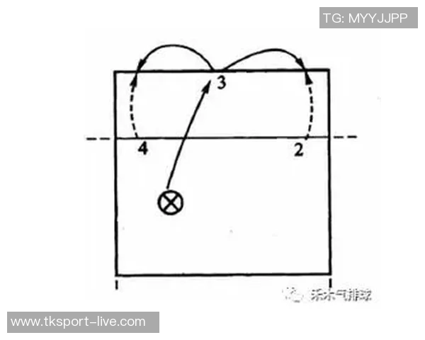 上海排球队进攻策略全解析深度剖析排球战术与团队协作